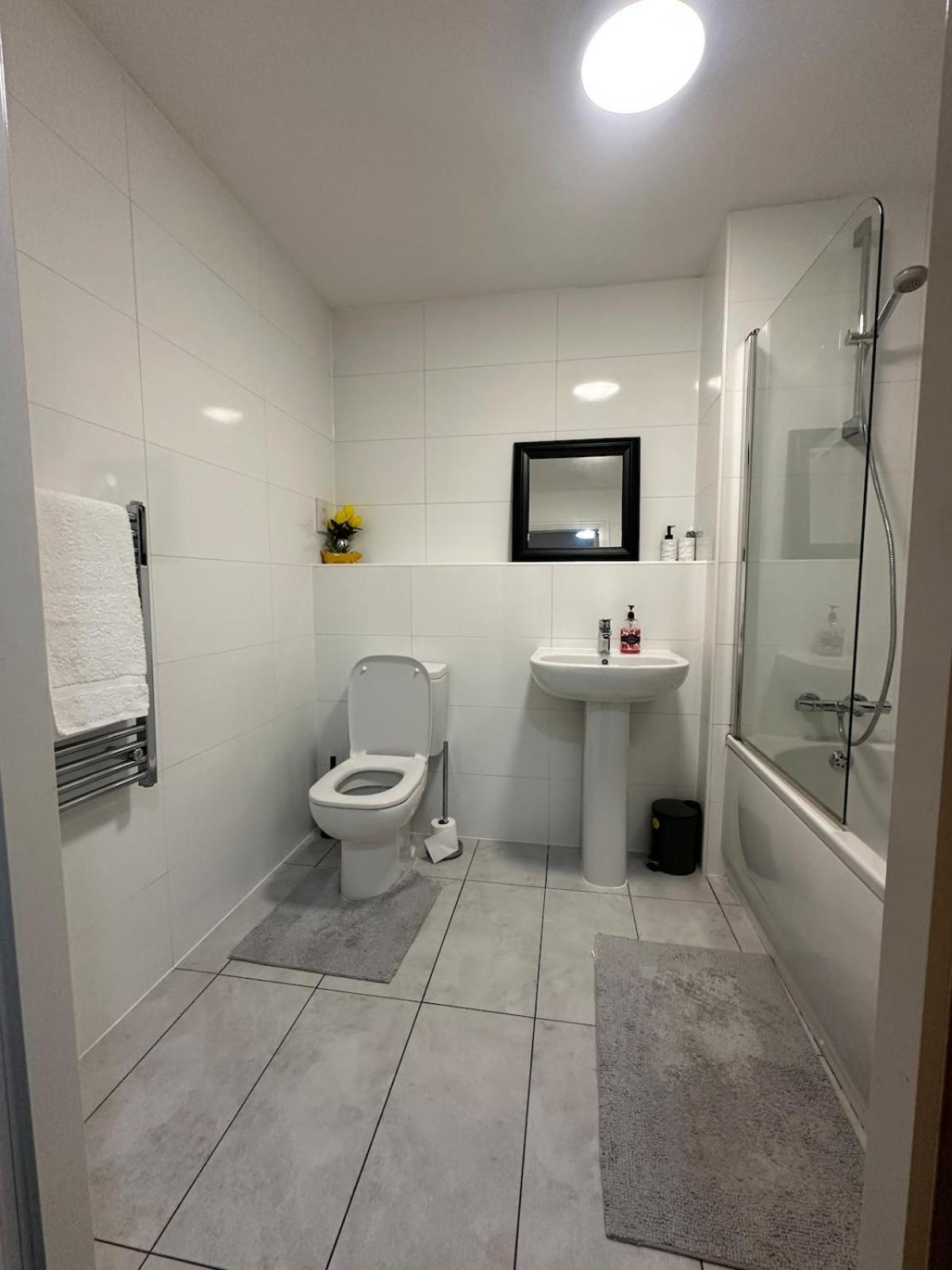 Queen House Stylish Central Sheffield Apartment Екстер'єр фото
